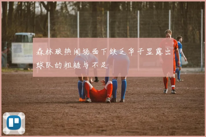 森林狼热闹场面下缺乏华子显露出球队的粗糙与不足